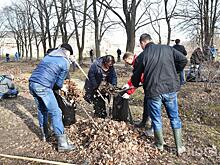 Более 50 заявок отправили жители Вологды на участие в общегородском субботнике