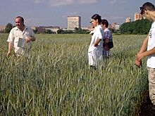 Фонд РЖС получил 101 га Тимирязевской сельхозакадемии