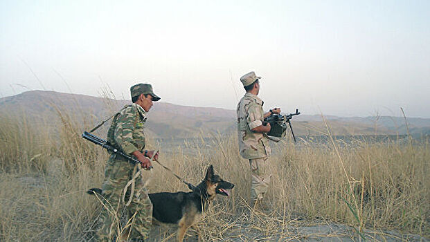 Таджикистан усилил границу с Афганистаном из-за коронавируса