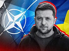 Испания считает ужасной новость о приглашении Зеленского в Мадрид на саммит НАТО