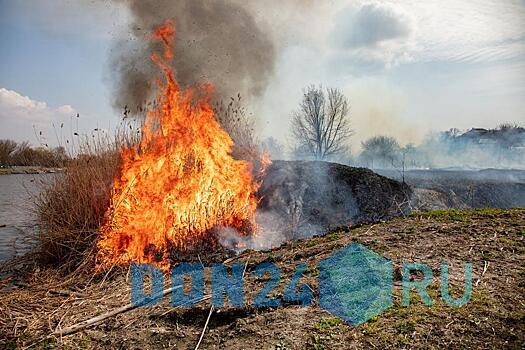 Пожароопасный сезон: в Ростове с начала года произошло 126 возгораний мусора и сухой травы
