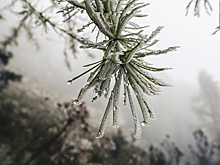 В Мордовии зафиксирован рекорд плюсовых температур в январе