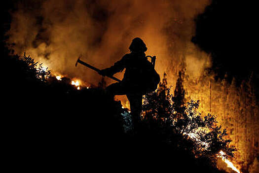 В Техасе число жертв лесного пожара возросло до двух