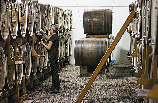 Винному туризму в России готовы дать зеленый свет