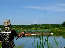 Фестиваль рыболовного спорта прошел в Раменском округе