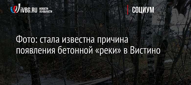 Фото: стала известна причина появления бетонной «реки» в Вистино
