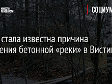 Фото: стала известна причина появления бетонной «реки» в Вистино
