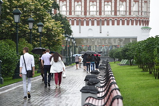 В Москве за последние сутки выпало 20% месячной нормы осадков