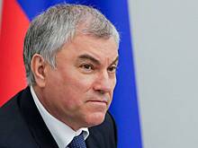 Володин раскрыл темы внеочередного заседания Госдумы