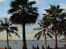 Россиянина убили в Таиланде после того, как он стал свидетелем изнасилования