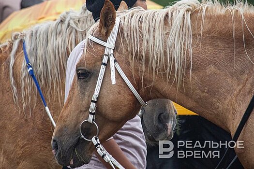 Минниханов и Шаймиев посетили конно-спортивные соревнования в честь Сабантуя в Казани
