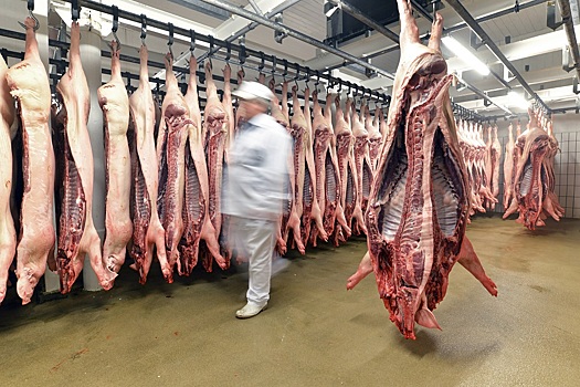 В 2023 году в России продолжит расти производство свинины &ndash; Ковалёв