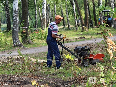 Благоустройство сквера на проспекте Ленина в Нижнем Новгороде обойдется в 19,2 млн рублей