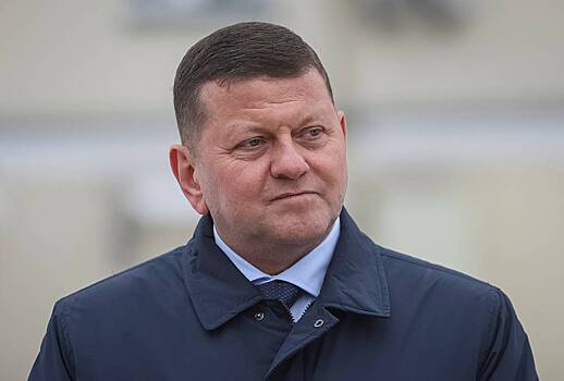 Шансы Залужного победить Зеленского на выборах оценили