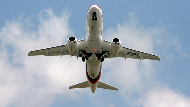 В пассажирский самолет в Сочи попала чайка