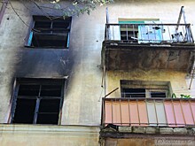 "Мы забыли про паспорта и побежали спасать кота": в пожаре на Горького погибла собака, пострадал кот, люди понесли миллионы убытков