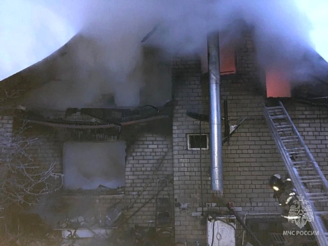 МЧС назвало причину пожара в доме в Пензенской области, где погибли три человека