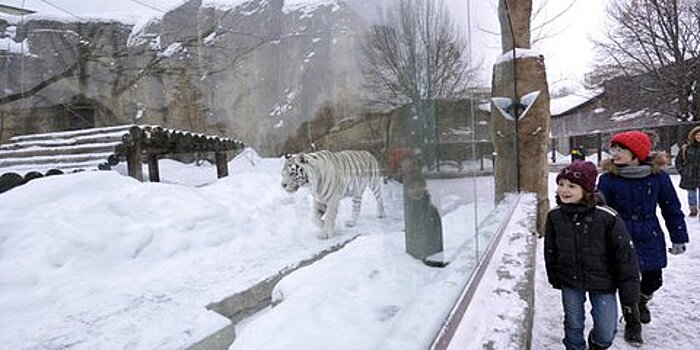 Московский зоопарк перейдет на зимний режим работы
