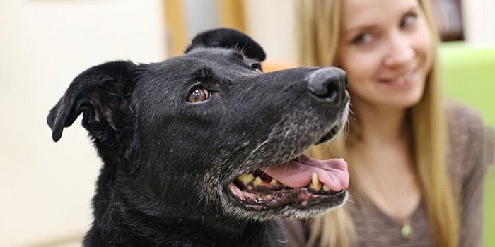 «Неделя добра»: около 150 животных в Москве нашли новый дом