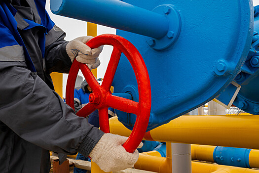 ЕС купил газ у других стран в ожидании остановки транзита газа РФ через Украину