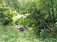 В Нестеровском районе машина вылетела с дороги и едва не угодила в болото, пострадали двое