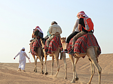 Российский ИТ-бизнес массово открывает представительства в ОАЭ