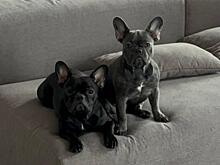 Саша Стоун сообщил о затяжной болезни: «Период ужасный для всей моей семьи»