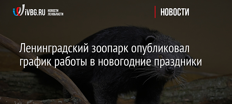 Ленинградский зоопарк опубликовал график работы в новогодние праздники