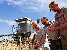 Россия начала продавать пшеницу по выросшим ценам