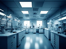 Билайн и Владимирская область будут развивать цифровую экономику региона