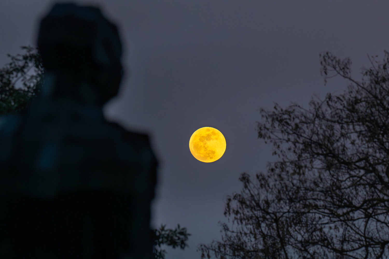 РИА Новости: астроном Алексеев рассказал, что в мае произойдут два полнолуния