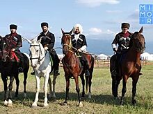 Дагестанская федерация конного спорта даст пресс-конференцию