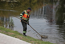 Пробы воды взяли после обнаружения мертвой утки в пруду Лефортовского парка в Москве
