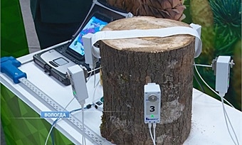 Более 200 компаний из шести стран собрались на выставке лесовозной техники в Вологде