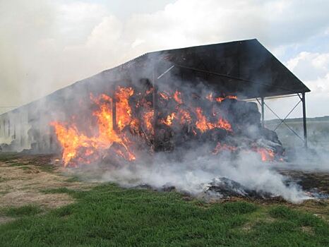 864 квадратных метра сена сгорело в Выксунском районе из-за детской шалости