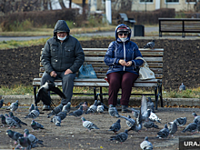 Экономист: безработным упростят досрочный выход на пенсию