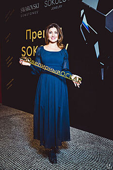 Премия SOKOLOV AWARDS 2017: названы победители в номинации "Гордость отрасли"