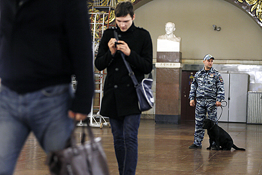 «Тревога заглушает голос разума»