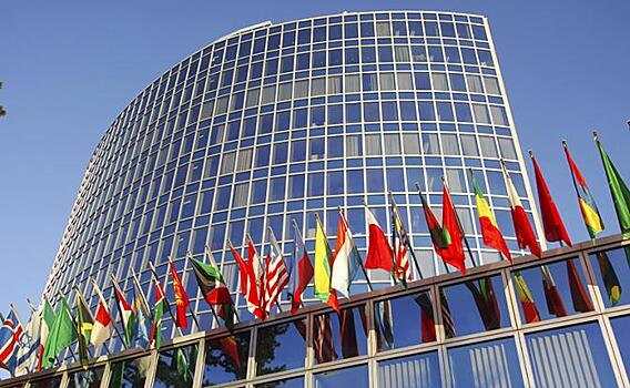 Женева вынесла приговор нашей науке. Россияне в тот же день продемонстрировали силу мысли