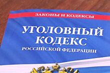 Общественники хотят изменить закон после убийства инвалида в Березовском