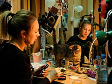 Бездомная кошка стала звездой театра в Красноярском крае
