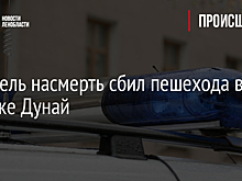 Водитель насмерть сбил пешехода в поселке Дунай