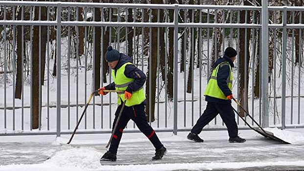 Власти позвали жителей Барнаула убирать снег с улиц за 88 рублей в час