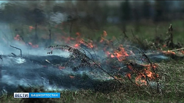 Природный пожар в Оренбургской области локализован – МЧС