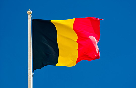 Минфин Бельгии выдал лицензию на разморозку активов россиянину с ВНЖ