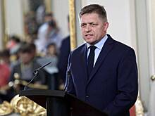 Фицо: Поставки газа из России в Словакию возобновились через «Турецкий поток»