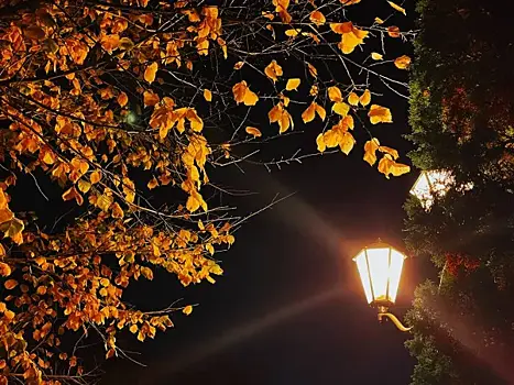 В Тольятти создадут новую уличную иллюминацию