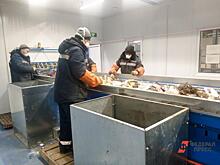 Глава Омской области заявил о намерении построить второй комплекс по обращению с отходами