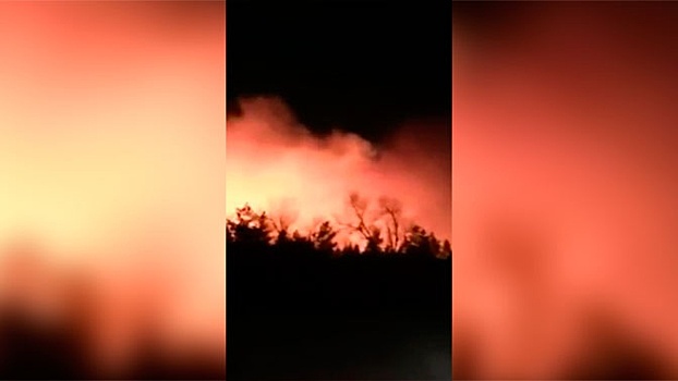 Под Оренбургом произошли крупные пожары в двух дачных поселках