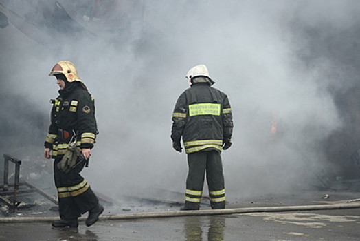 Двоих детей спасли во время пожара в доме в Луховицах